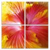Set Of Four Print Wall Art
