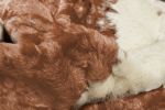4' X 5' Brown and Ivory Faux Cowhide Animal Print Printed Area Rug