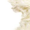 2' X 3' Natural New Zealand Sheepskin Wool Area Rug