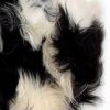 2' X 3' Black and White Spotted Sheepskin Handmade Area Rug