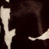 18" X 18" X 5" Chocolate And White Cowhide  Pillow 2 Pack