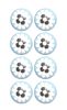 Charming Light Blue And Black Set Of 8 Knobs