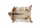 2' X 3' White And Tan Genuine Calfskin Area Rug