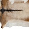 2' X 3' White And Tan Genuine Calfskin Area Rug
