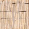 White And Natural Three Panel Room Divider Screen