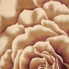 2' X 3' Ivory Machine Woven Hand Carved Oversized Floral Indoor Accent Rug