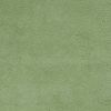 2' X 4' Spearmint Green Indoor Shag Rug