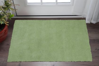 2' X 4' Spearmint Green Indoor Shag Rug