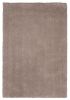 2' X 4' Beige Indoor Shag Rug