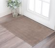 2' X 4' Beige Indoor Shag Rug