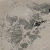 3' X 5' Silver Abstract Area Rug
