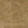 3' X 5' Gold Plain Area Rug