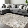 6' X 9'  Polyester Sand Silver Area Rug