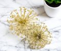 6.5" X 6.5" X 6.5" Gold Starburst Spheres Set Of 2