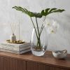 8 Mouth Blown Polish Oval Thick Walled Vase