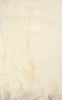 2' X 3' Ivory New Zealand Natural Sheepskin Rug