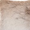 Plush Beige Silver Accent Throw Pillow