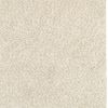 3' X 5' Modern Shag Ivory Indoor Area Rug