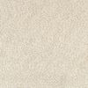 5' X 7' Modern Shag Ivory Indoor Area Rug