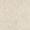 10' X 13' Modern Shag Ivory Indoor Area Rug