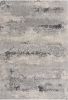 4' X 6' Gray Modern Abstract Area Rug