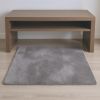 4' X 6' Gray Modern Solid Shag Area Rug